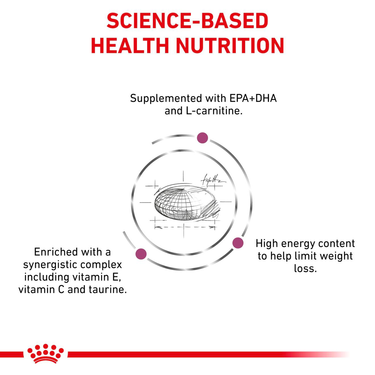 Royal Canin Veterinary Diets Vital Cardiac koiran kuivaruoka 7,5 kg