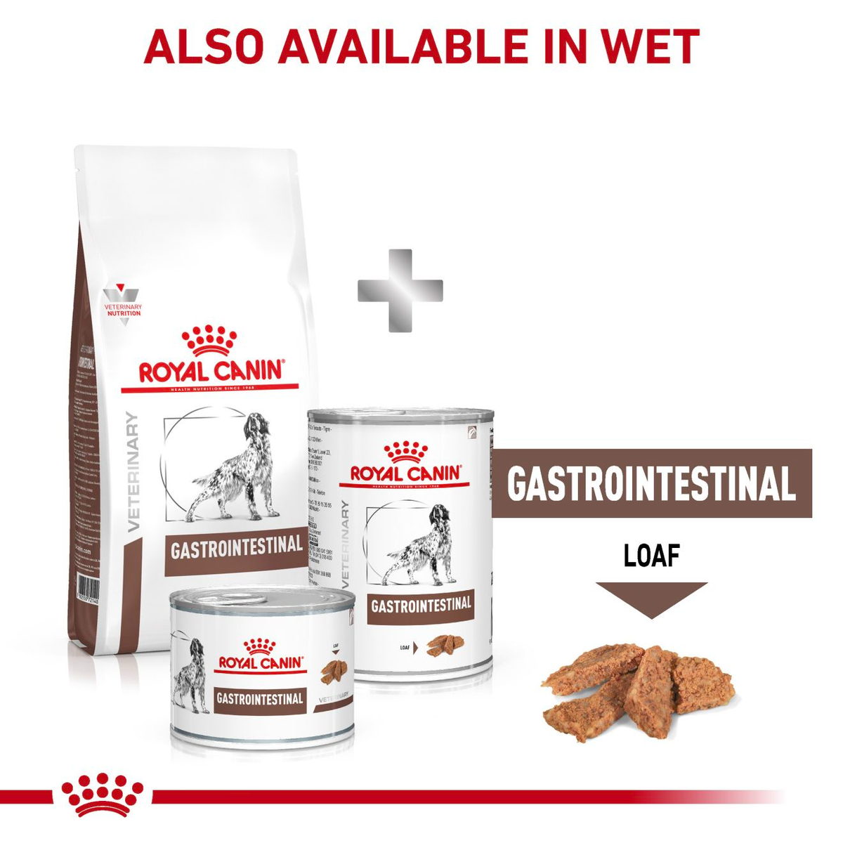 Royal Canin Veterinary Diets Gastrointestinal koiran kuivaruoka 2 x 15 kg TUPLAPAKKAUS