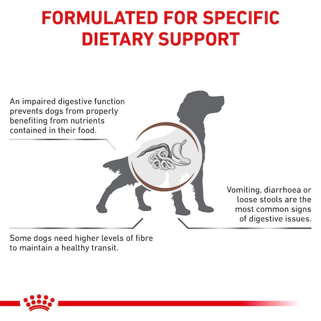 Royal Canin Veterinary Diets Gastrointestinal High Fibre Loaf säilykepurkki koiran märkäruoka 12 x 410 g