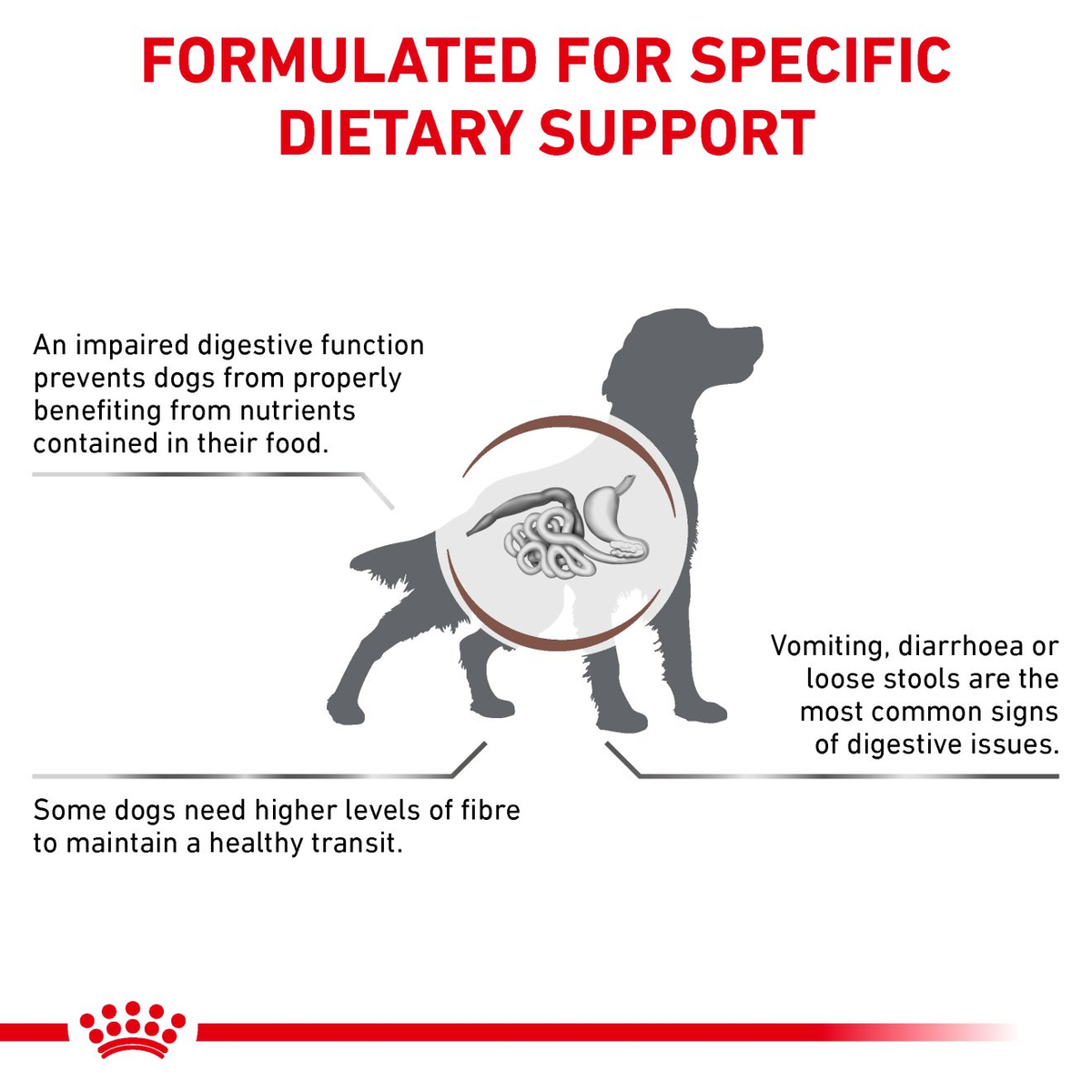 Royal Canin Veterinary Diets Gastrointestinal High Fibre koiran kuivaruoka
