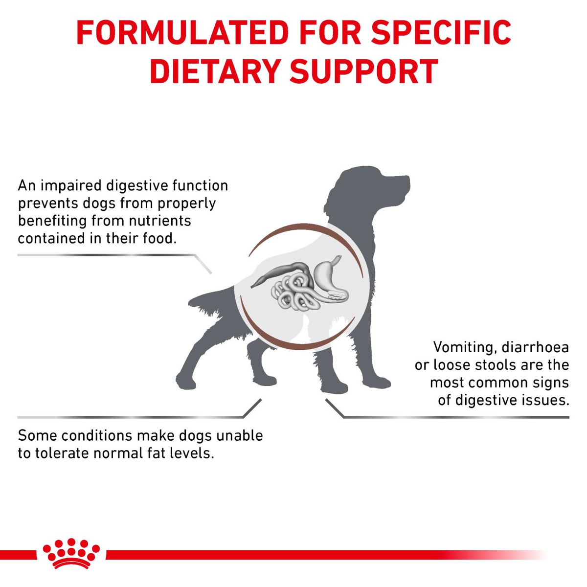 Royal Canin Veterinary Diets Gastrointestinal Low Fat koiran kuivaruoka