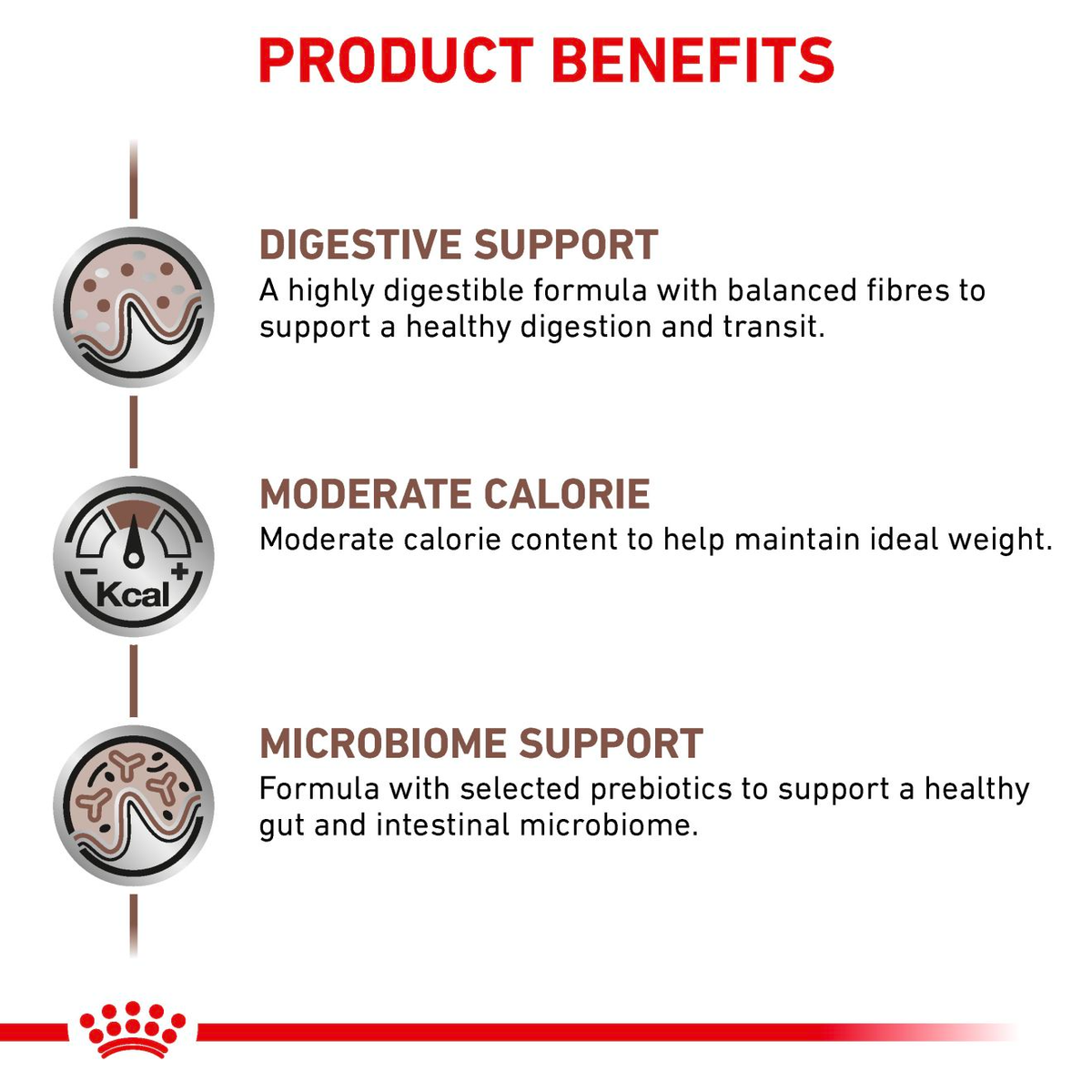 Royal Canin Veterinary Diets Gastrointestinal Moderate Calorie Slices In Gravy kissan märkäruoka 12 x 85 g