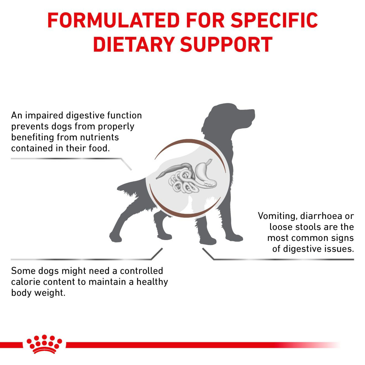 Royal Canin Veterinary Diets Gastrointestinal Moderate Calorie koiran kuivaruoka