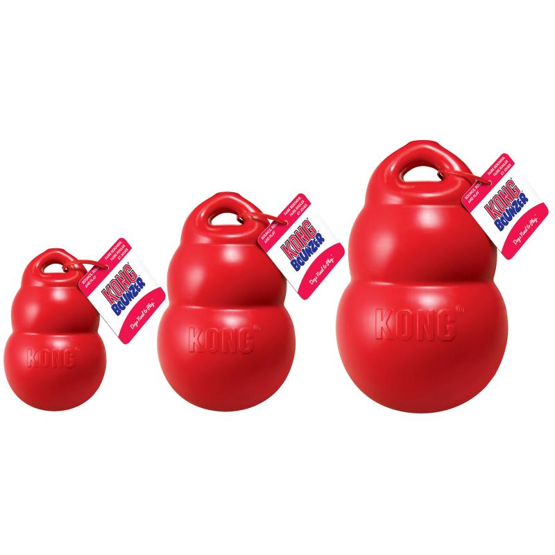 Kong Bounzer