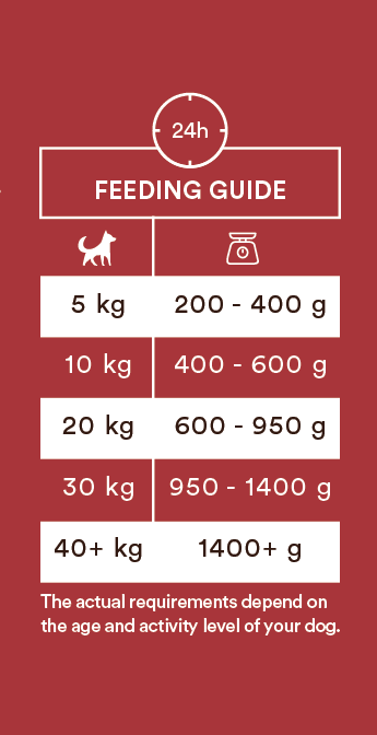 Monster Dog Adult Single Protein Beef koiralle 6 x 400 g