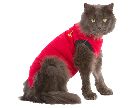 Medical Pet Shirt toipilaspaita kissalle