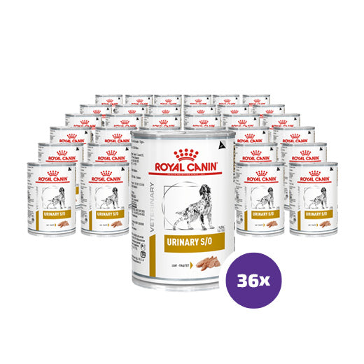 Royal Canin Veterinary Diets Urinary S/O Loaf säilykepurkki koiran märkäruoka 36 x 410 g SÄÄSTÖPAKKAUS