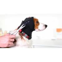 Buster Ear Cover korvasuoja koiralle