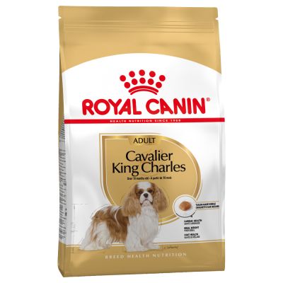 Royal Canin Cavalier King Charles Adult koiralle