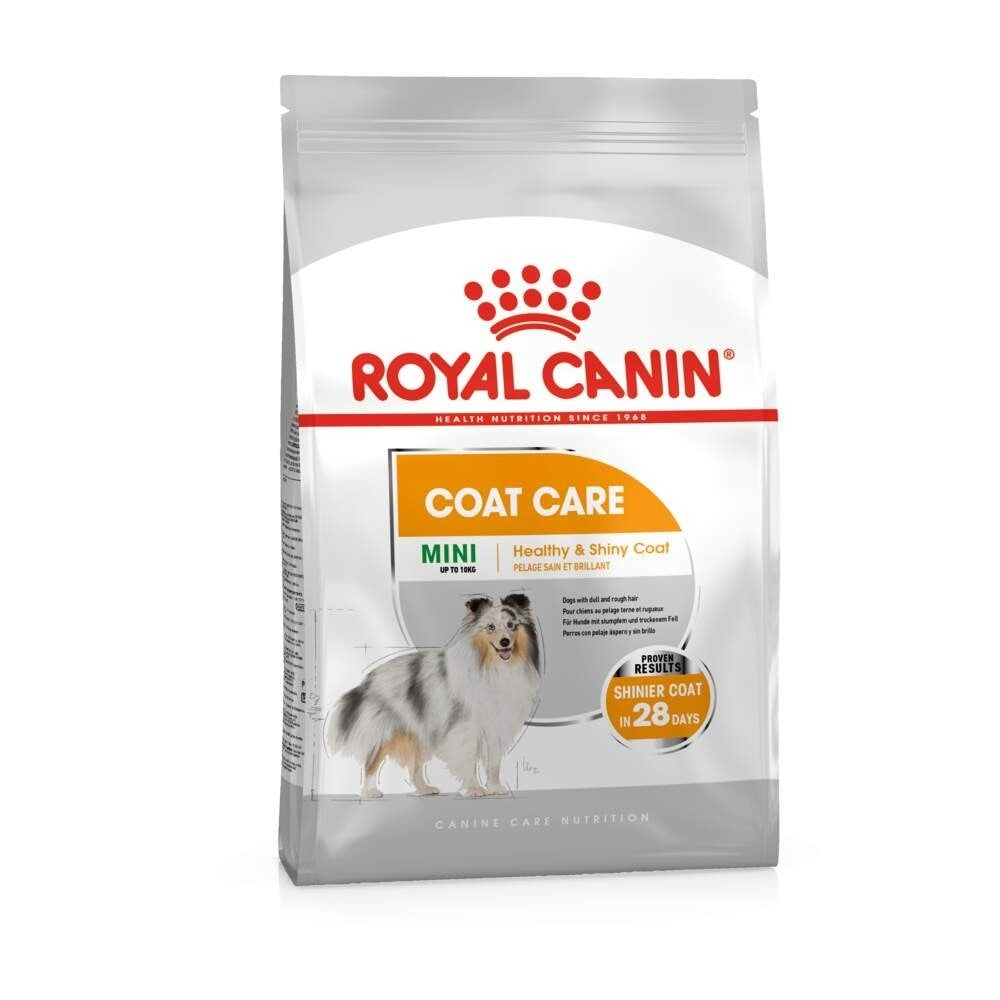Royal Canin Coat Care Mini koiralle 3 kg