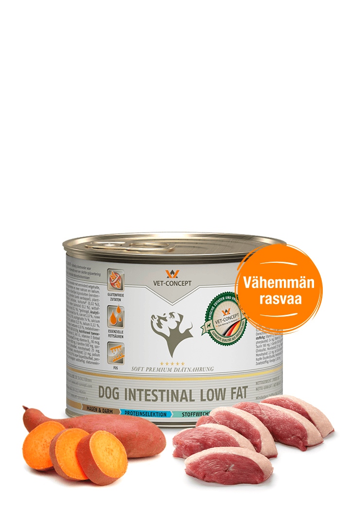 Vet Concept Koiramenu Intestinal Low Fat 6 x 400 g
