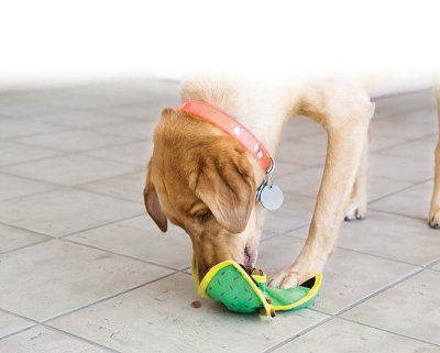 Kong Ballistic Hide'N Treat Medium