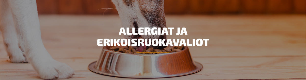 Allergiat ja erikoisruokavaliot