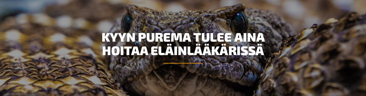 Kyyn purema tulee aina hoitaa eläinlääkärissä