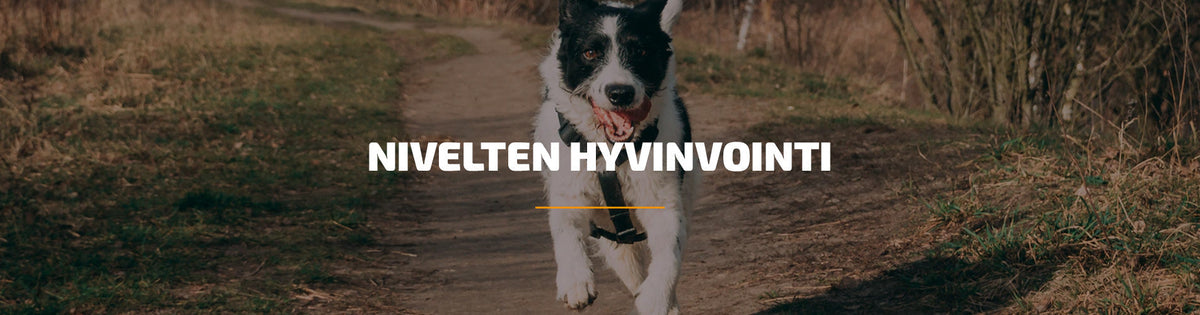Nivelten hyvinvointi
