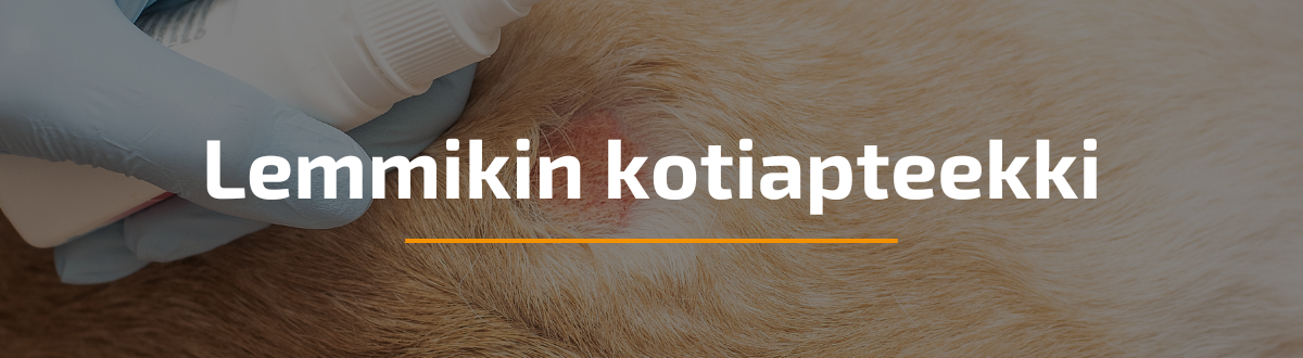 Lemmikin kotiapteekki: tässä lista tärkeimmistä tarvikkeista