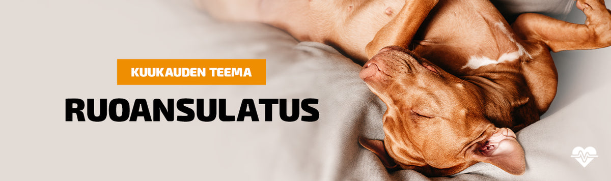Teema - Ruoansulatus