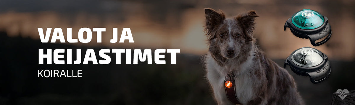 Heijastimet ja Valot Koiralle