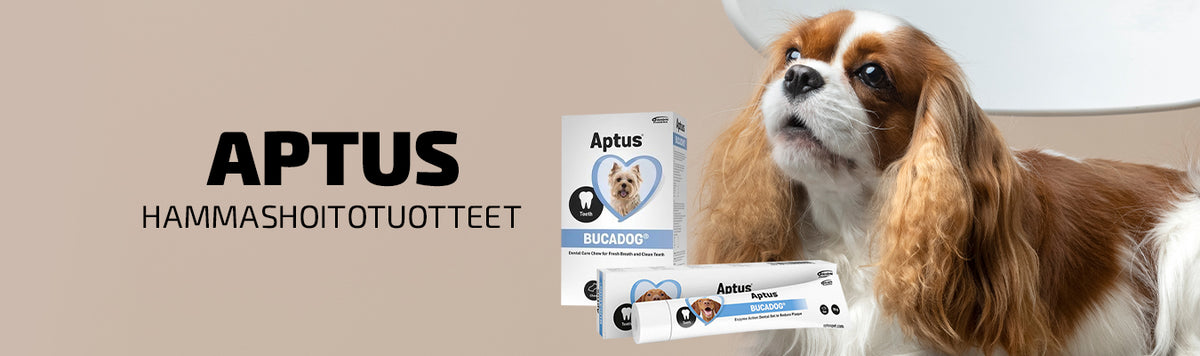 Aptus tuotteet kissan ja koiran hampaille