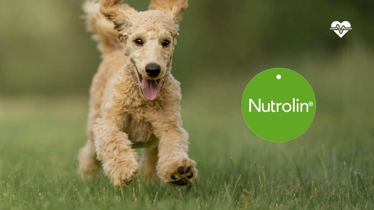 NUTROLIN