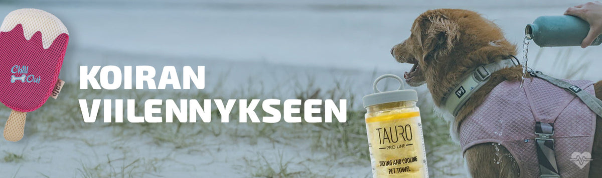 Koiran Viilennykseen