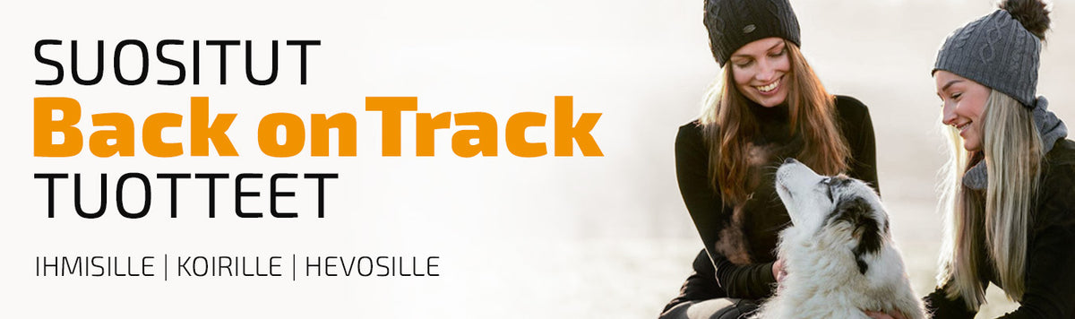 Back On Track