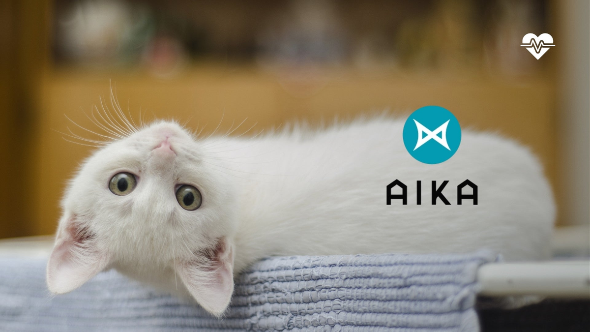 AIKA