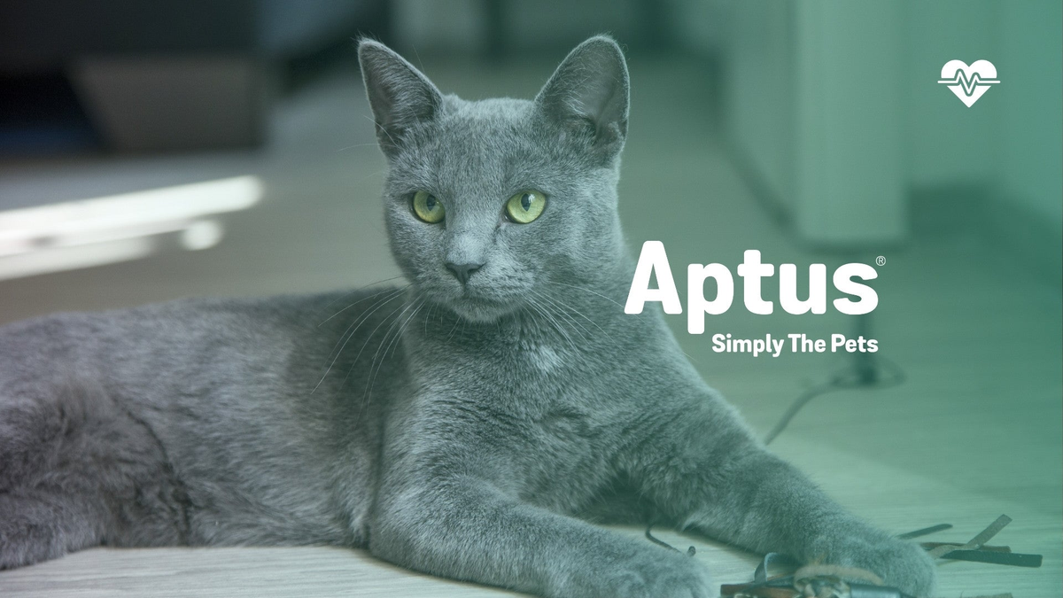 Aptus