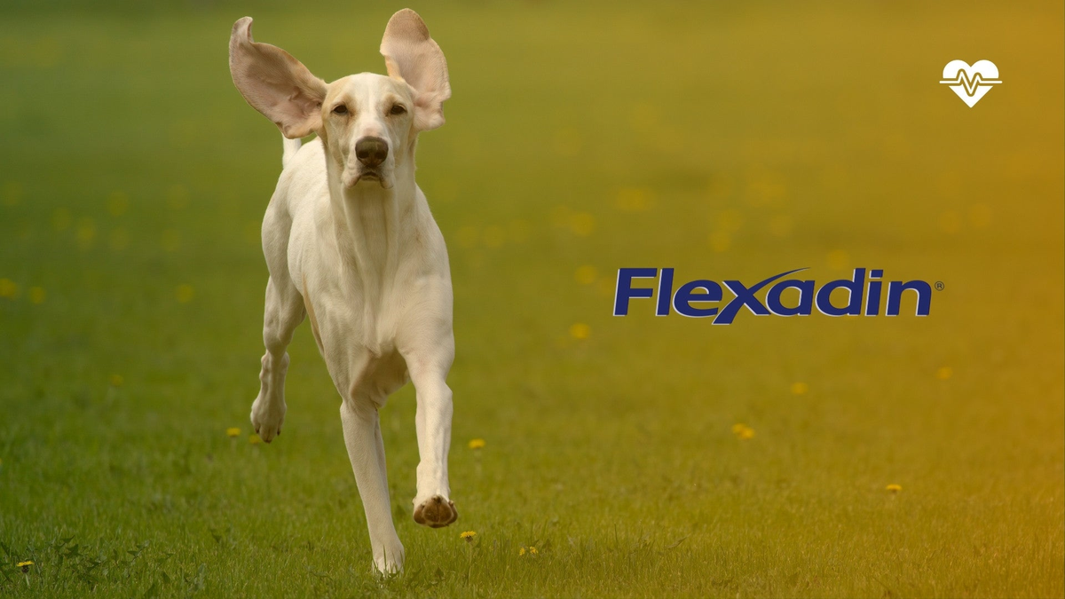 FLEXADIN