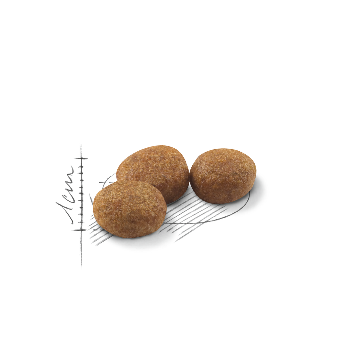 Royal Canin Sterilised kissalle