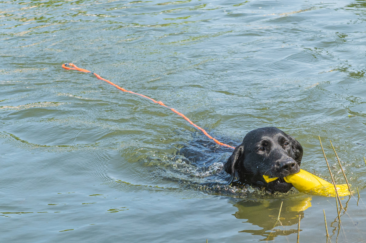 Rukka Swim leash kelluva hihna