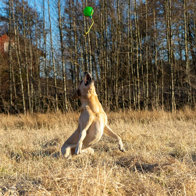 Starmark geelipallo Swing Fling Chew Ball