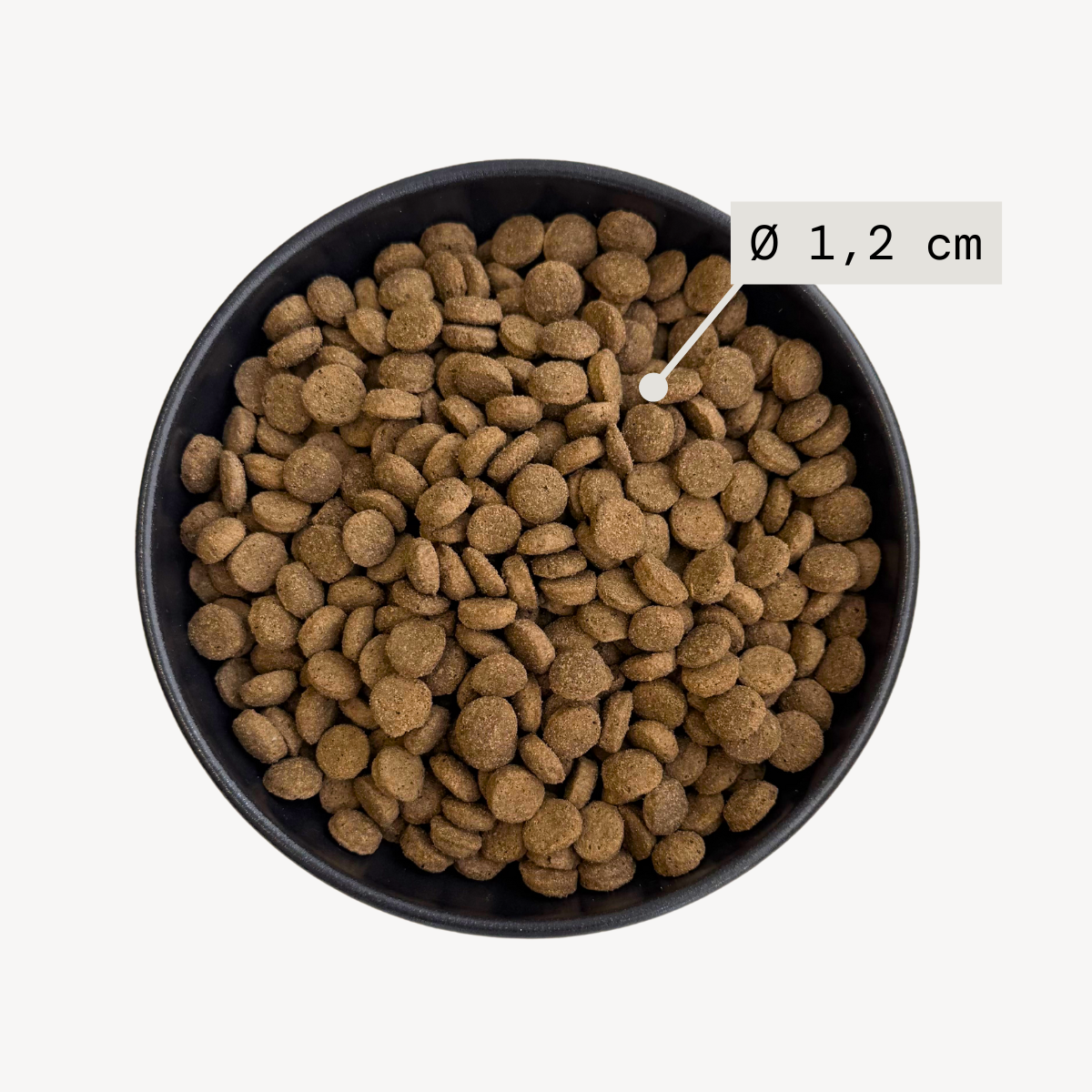 Alvar Pet Adult/Fish koiran kuivaruoka