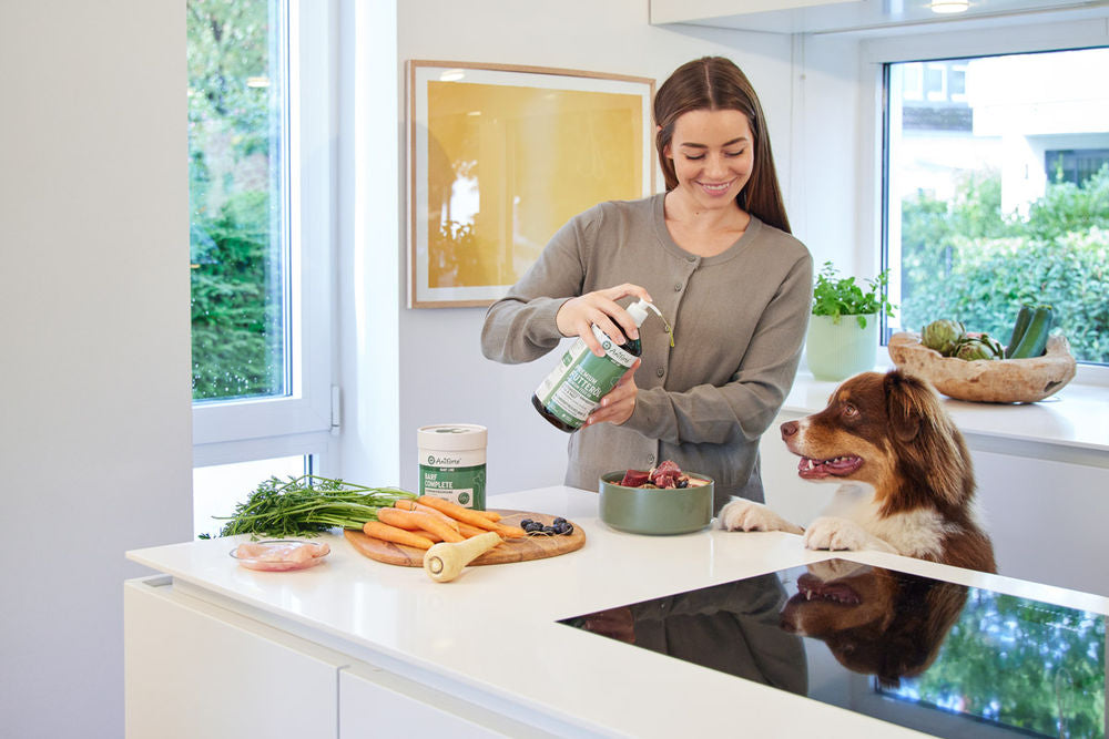 Aniforte Canine Complete lisäravinne koiralle 500 g
