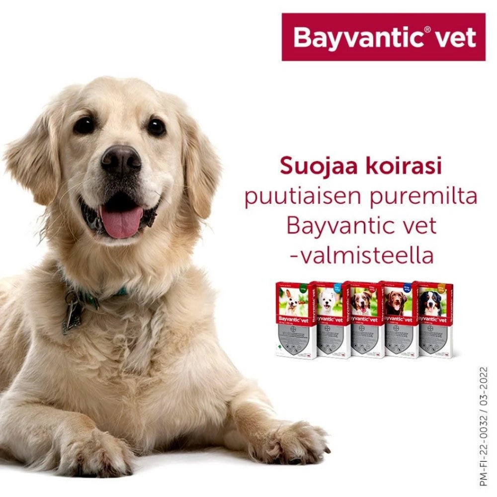 Bayvantic vet 400/2000 mg 4 x 4 ml paikallisvaleluliuos koirille 25–40 kg