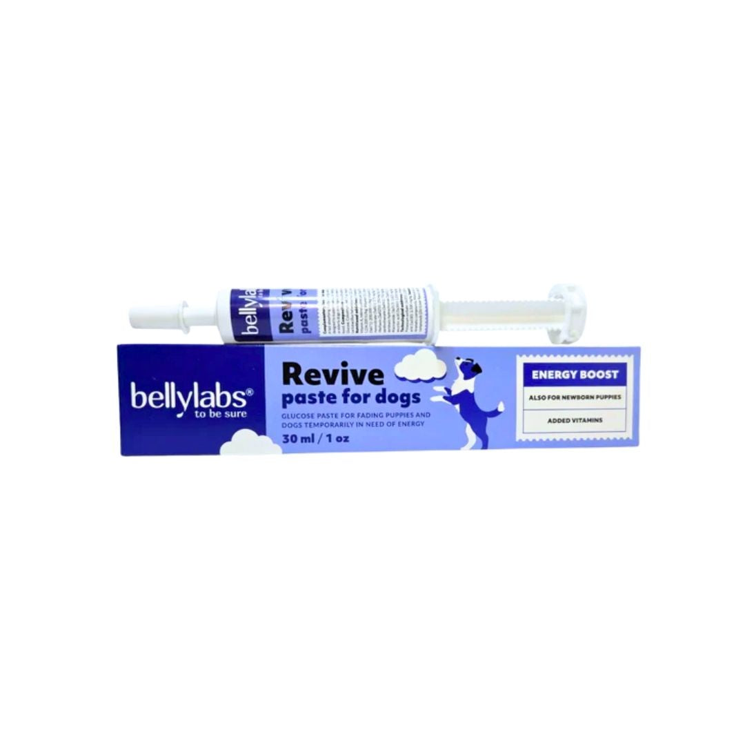 Bellylabs Revive pasta 30 ml koiralle