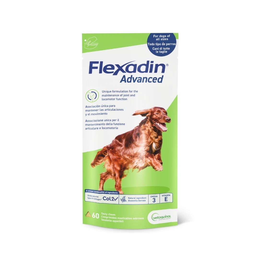 Flexadin advanced purutabletti koiralle 2 x 60 tablettia TUPLAPAKKAUS