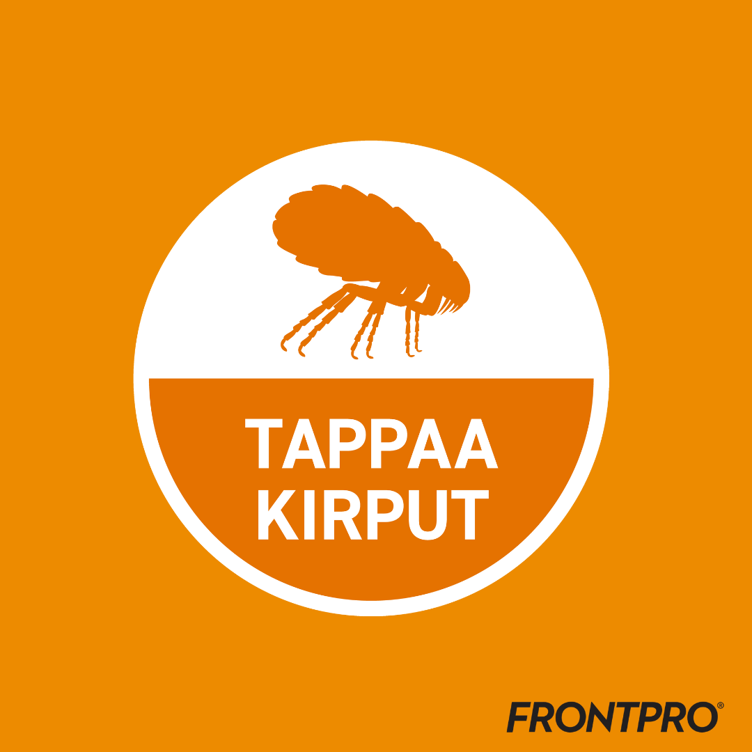 Frontpro 28.3 mg purutabletti 4-10 kg koiralle 3 kpl