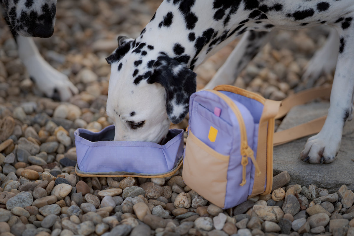 Woolly Wolf Hydration Shoulder Bag + JUOMAPULLO KAUPAN PÄÄLLE