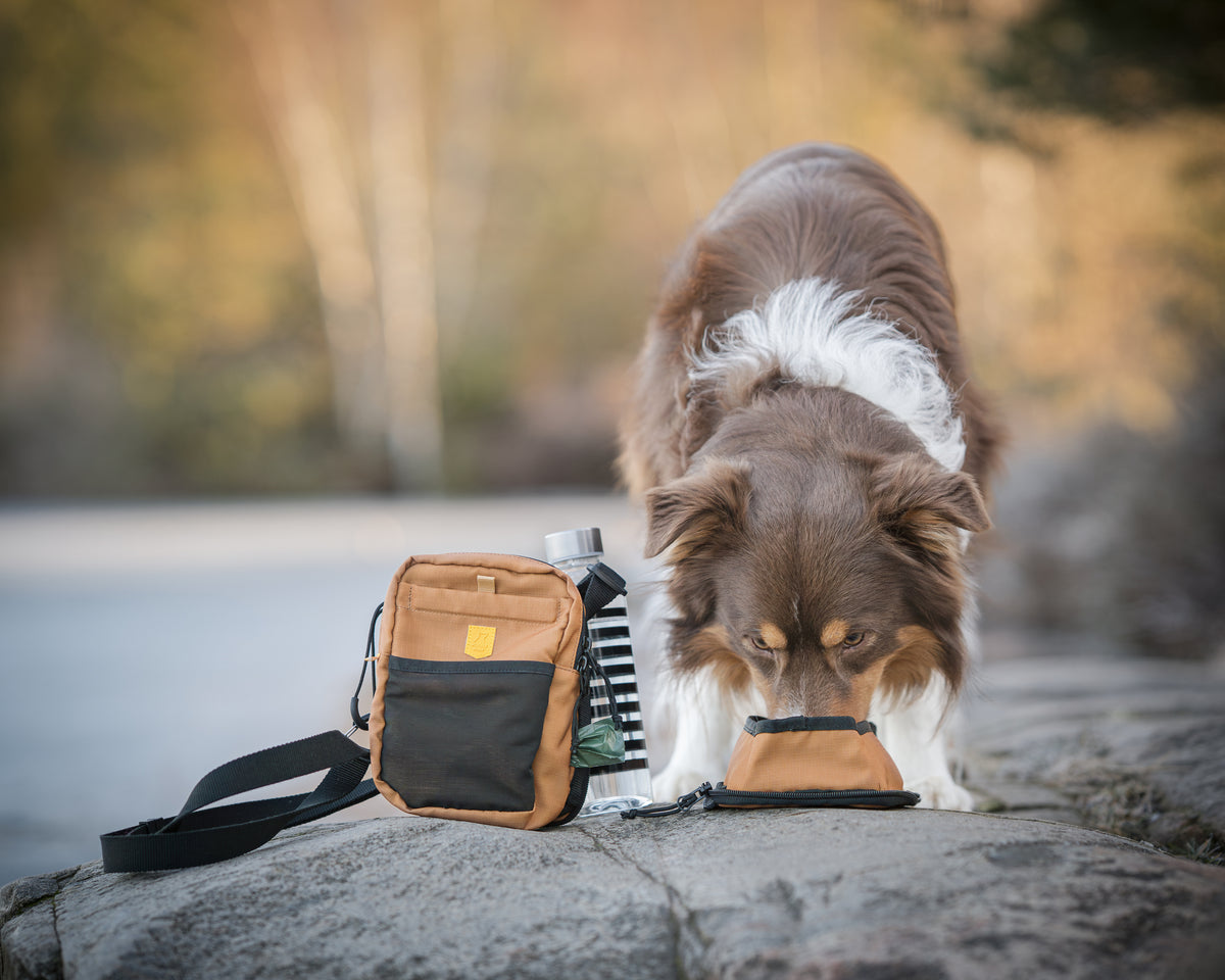 Woolly Wolf Hydration Shoulder Bag + JUOMAPULLO KAUPAN PÄÄLLE