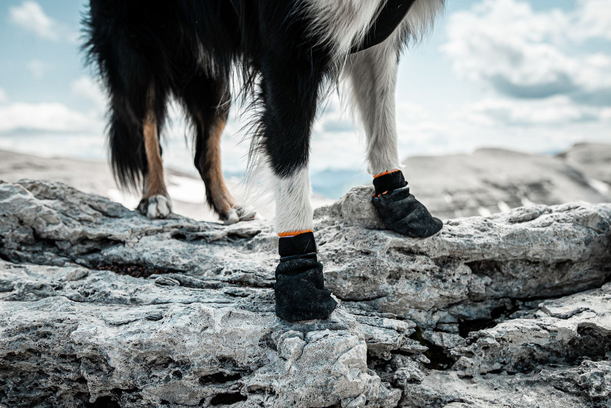 Non-stop Protector bootie 4 kpl