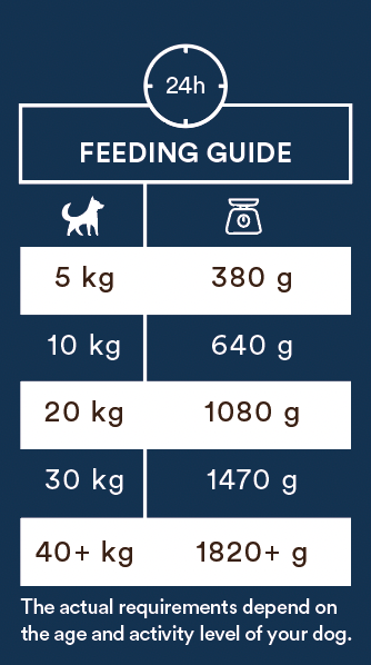 Monster Dog Adult Sensitive Fish koiralle 400 g MAISTELUPAKKAUS