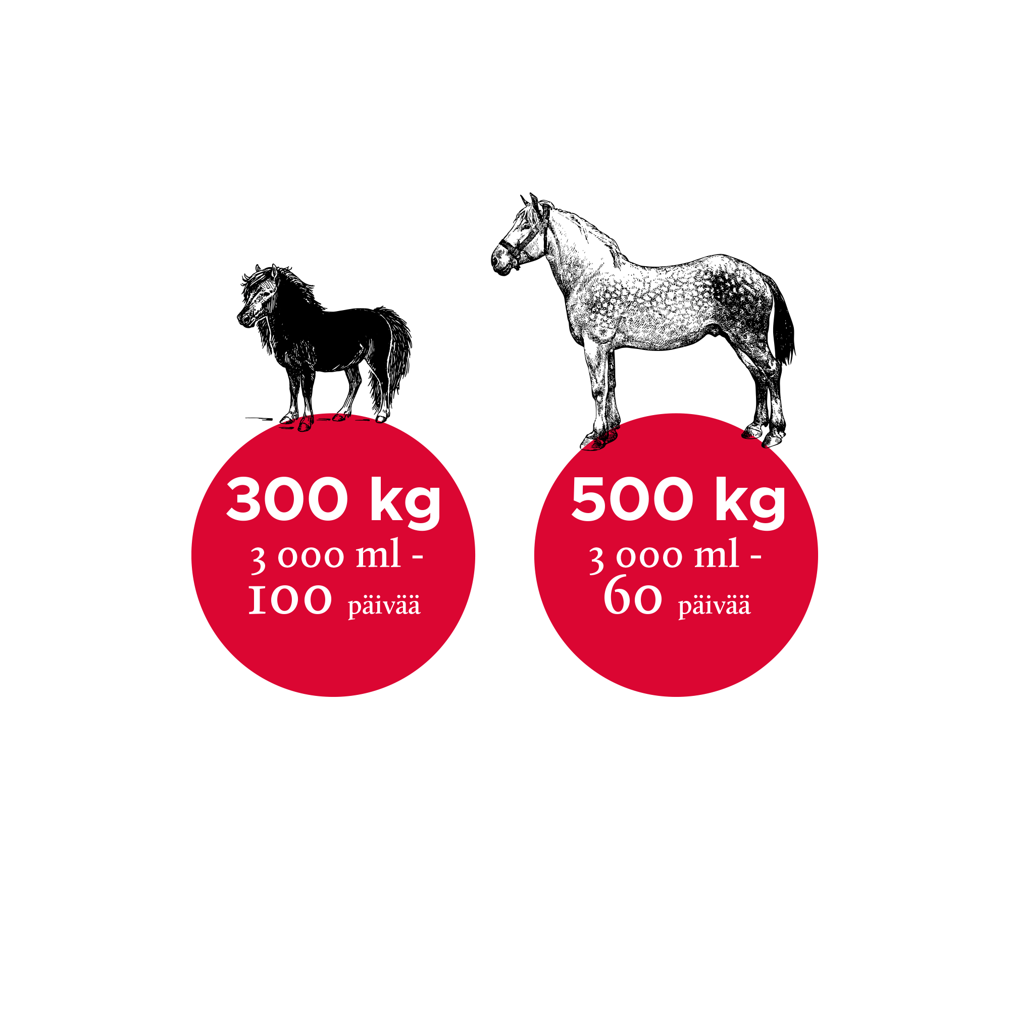 Nutrolin Horse Sport 3000 ml
