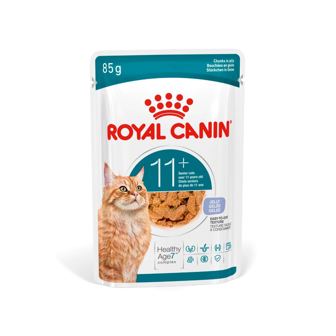 Royal Canin Ageing 11+ paloja hyytelössä kissan märkäruoka 12 x 85 g