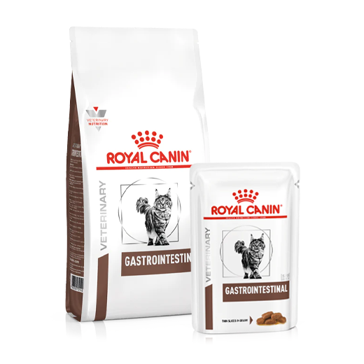 Royal Canin Veterinary Diets Gastrointestinal kissalle yhdistelmä ruoka 2 kg + 12 x 85 g