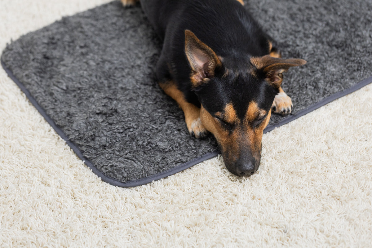 Pomppa Settle Mat
