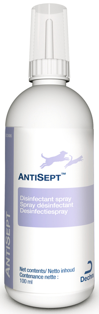 AntiSept Desinfioiva suihke 100 ml