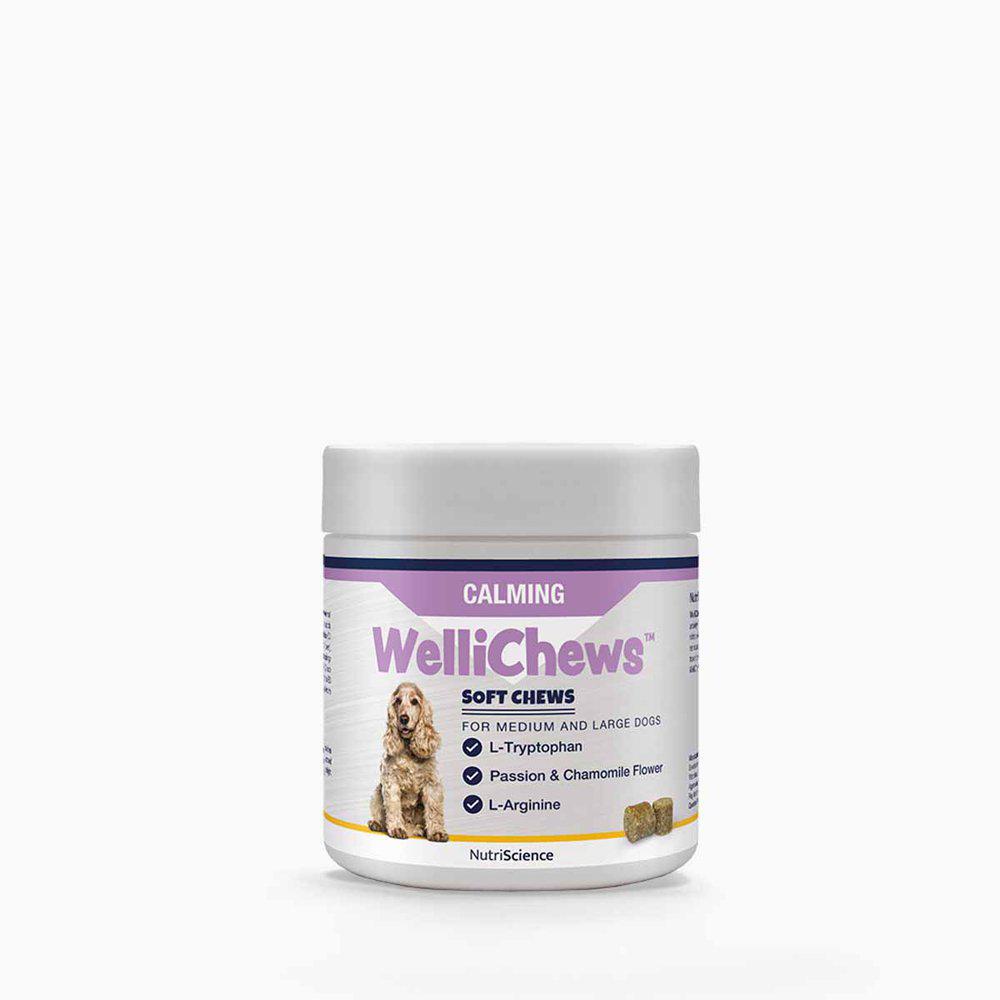 Wellichews Calming medium & large breed 60 kpl