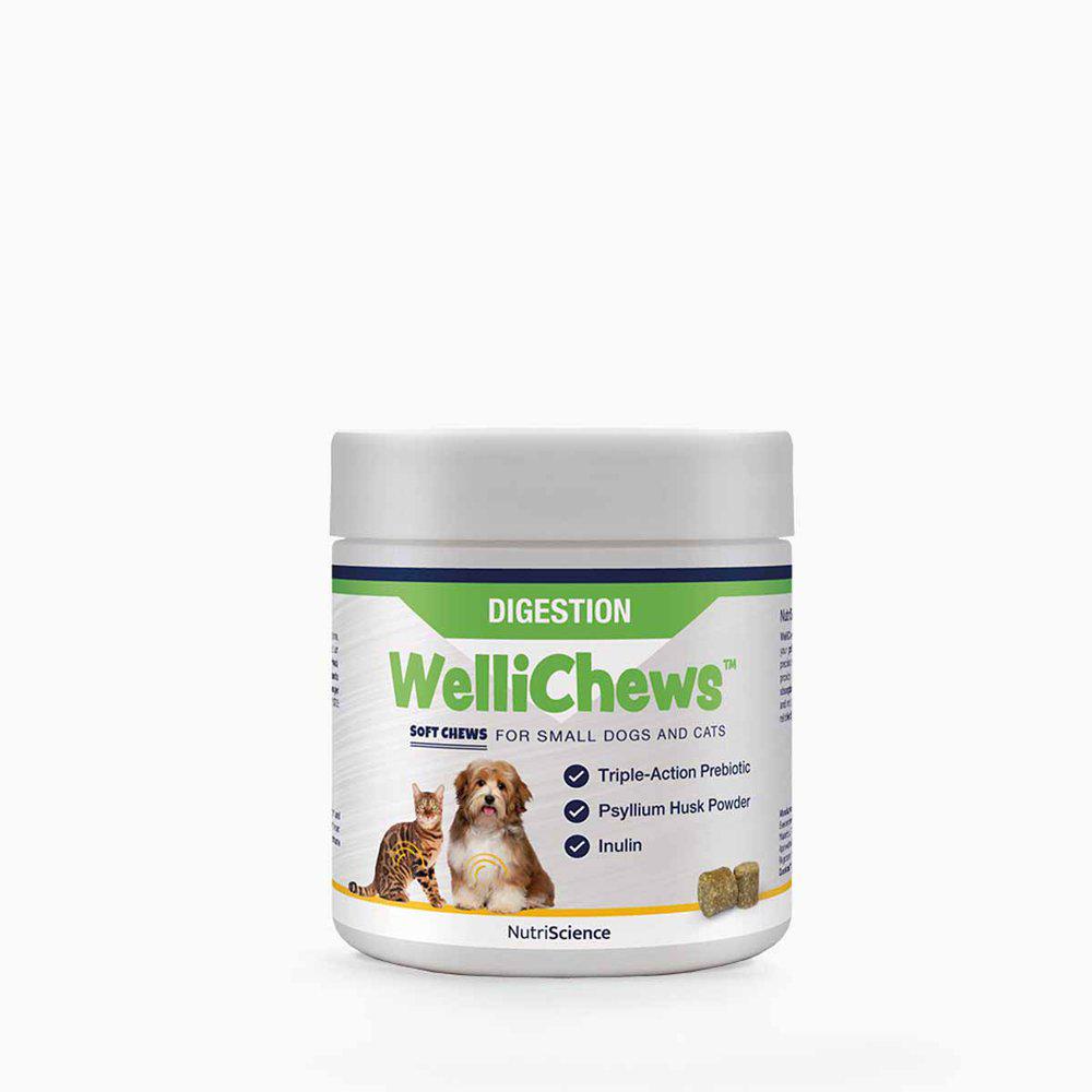 Wellichews Digestion pienelle koiralle ja kissalle 120 kpl