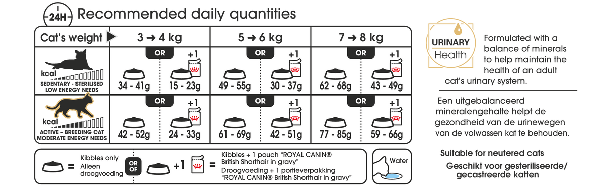 Royal Canin British Shorthair Adult kissalle